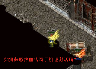 ��λ�ȡ��Ѫ�����ֻ��漤���룿
