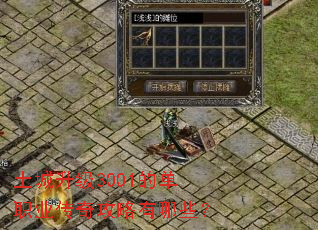 ��������3001�ĵ�ְҵ���湥������Щ��