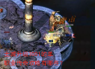 ��������3001�ĵ�ְҵ���湥������Щ��
