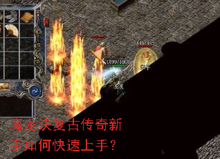 ħ�������Ŵ���������ο������֣�