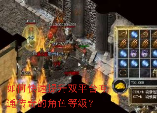 如何快速提升双平台互通传奇的角色等级? 如何快速提升双平台互通传奇的角色等级?