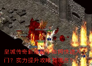 皇城传奇新服新手如何快速入门?实力提升攻略有哪些? 皇城传奇新服新手如何快速入门?实力提升攻略有哪些?