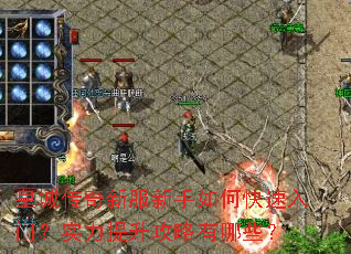 皇城传奇新服新手如何快速入门?实力提升攻略有哪些? 皇城传奇新服新手如何快速入门?实力提升攻略有哪些?