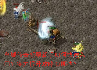 皇城传奇新服新手如何快速入门?实力提升攻略有哪些? 皇城传奇新服新手如何快速入门?实力提升攻略有哪些?