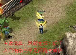 苍龙浴血,风起龙城?新手入门指南与常见问题全解析 苍龙浴血,风起龙城?新手入门指南与常见问题全解析