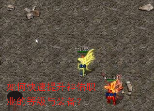 如何快速提升神佑职业的等级与装备? 如何快速提升神佑职业的等级与装备?