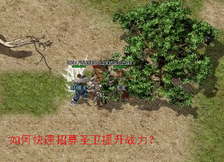 如何快速招募圣卫提升战力? 如何快速招募圣卫提升战力?