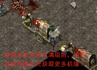 神佑单职业侍女满级后,如何探索修魔纪元获取更多机缘? 神佑单职业侍女满级后,如何探索修魔纪元获取更多机缘?