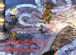 如何选择高属性队友以提升游戏实力? 如何选择高属性队友以提升游戏实力?