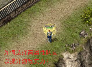 如何选择高属性队友以提升游戏实力? 如何选择高属性队友以提升游戏实力?