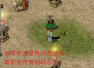 如何快速提升鸿灵镇仙单职业传奇的战斗力? 如何快速提升鸿灵镇仙单职业传奇的战斗力?
