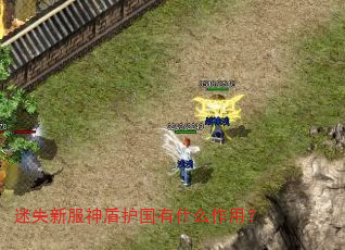 迷失新服神盾护国有什么作用? 迷失新服神盾护国有什么作用?