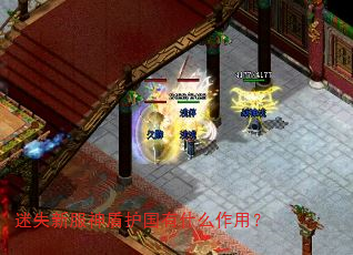 迷失新服神盾护国有什么作用? 迷失新服神盾护国有什么作用?