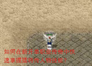 如何在新开单职业传奇中快速掌握猛将传人物技能? 如何在新开单职业传奇中快速掌握猛将传人物技能?