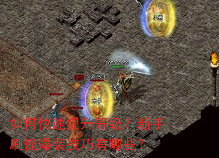 如何快速提升等级?新手刷怪爆装技巧有哪些? 如何快速提升等级?新手刷怪爆装技巧有哪些?