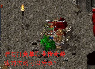 ˭�д��ְҵ������Ϸ�Ĺ��Կ��Է�����