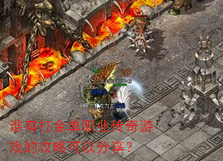 ˭�д��ְҵ������Ϸ�Ĺ��Կ��Է�����