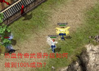 ��Ѫ�������������������100%�ɹ���