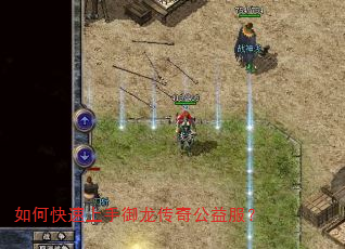 如何快速上手御龙传奇公益服? 如何快速上手御龙传奇公益服?
