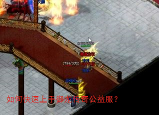 如何快速上手御龙传奇公益服? 如何快速上手御龙传奇公益服?