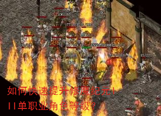 如何快速提升修魔纪元III单职业角色等级? 如何快速提升修魔纪元III单职业角色等级?