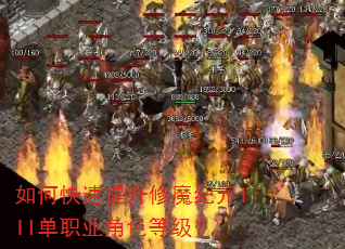 如何快速提升修魔纪元III单职业角色等级? 如何快速提升修魔纪元III单职业角色等级?