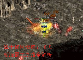 战士如何修炼?飞飞新服霸主之路全解析 战士如何修炼?飞飞新服霸主之路全解析