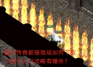 ���´����·�΢��������أ��������Ź�������Щ��