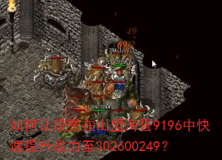 如何让段誉在山盟海誓9196中快速提升战力至302600249? 如何让段誉在山盟海誓9196中快速提升战力至302600249?