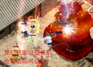 梦幻独家公益单职业钻石如何提取? 梦幻独家公益单职业钻石如何提取?