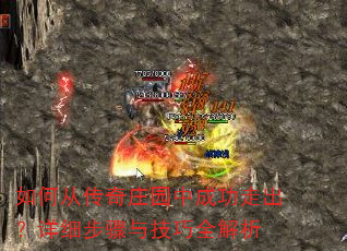 ��δӴ���ׯ԰�гɹ��߳�����ϸ�����뼼��ȫ����