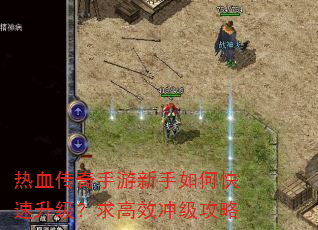 热血传奇手游新手如何快速升级?求高效冲级攻略 热血传奇手游新手如何快速升级?求高效冲级攻略