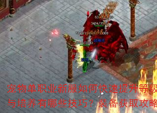宠物单职业新服如何快速提升等级?宠物选择与培养有哪些技巧?装备获取攻略是什么? 宠物单职业新服如何快速提升等级?宠物选择与培养有哪些技巧?装备获取攻略是什么?