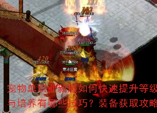 宠物单职业新服如何快速提升等级?宠物选择与培养有哪些技巧?装备获取攻略是什么? 宠物单职业新服如何快速提升等级?宠物选择与培养有哪些技巧?装备获取攻略是什么?