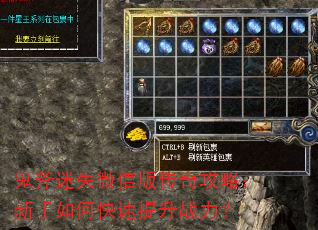 ������ʧ΢�Ű洫�湥�ԣ�������ο�������ս����