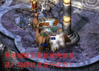 鸳鸯蝴蝶乐园新服奇遇秘籍?如何快速提升战力? 鸳鸯蝴蝶乐园新服奇遇秘籍?如何快速提升战力?
