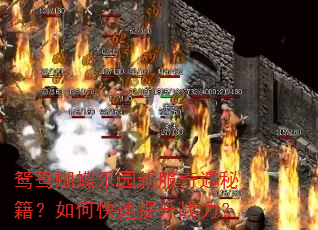 鸳鸯蝴蝶乐园新服奇遇秘籍?如何快速提升战力? 鸳鸯蝴蝶乐园新服奇遇秘籍?如何快速提升战力?