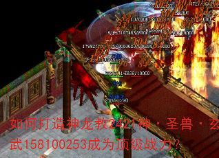 如何打造神龙教2421神·圣兽·玄武158100253成为顶级战力? 如何打造神龙教2421神·圣兽·玄武158100253成为顶级战力?