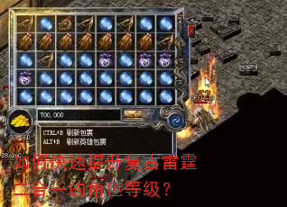 如何快速提升复古雷霆二合一的角色等级? 如何快速提升复古雷霆二合一的角色等级?