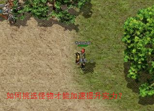 如何挑选怪物才能加速提升实力? 如何挑选怪物才能加速提升实力?