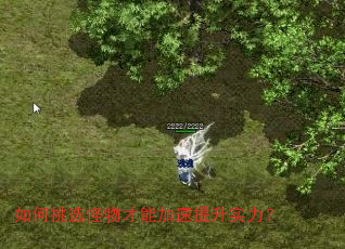 如何挑选怪物才能加速提升实力? 如何挑选怪物才能加速提升实力?