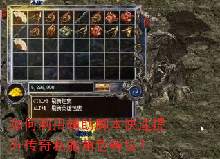 如何利用辅助脚本快速提升传奇私服角色等级? 如何利用辅助脚本快速提升传奇私服角色等级?