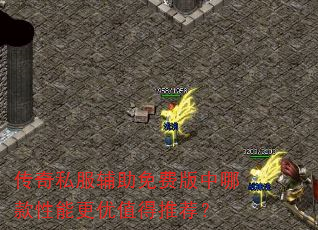 传奇私服辅助免费版中哪款性能更优值得推荐? 传奇私服辅助免费版中哪款性能更优值得推荐?