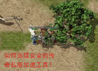 如何选择安全的传奇私服加速工具? 如何选择安全的传奇私服加速工具?