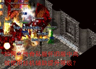 如何在传奇私服怀旧服中高效使用挂机辅助提升等级? 如何在传奇私服怀旧服中高效使用挂机辅助提升等级?