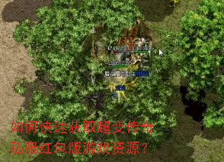如何快速获取超变传奇私服红包版游戏资源? 如何快速获取超变传奇私服红包版游戏资源?