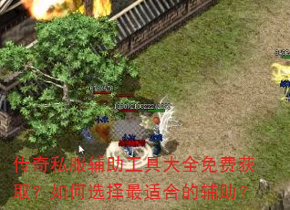 传奇私服辅助工具大全免费获取?如何选择最适合的辅助? 传奇私服辅助工具大全免费获取?如何选择最适合的辅助?
