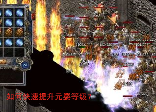 如何快速提升元婴等级? 如何快速提升元婴等级?