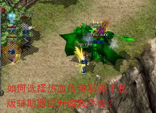 ���ѡ����Ѫ����˽���ֻ��渨����������Ϸ���飿