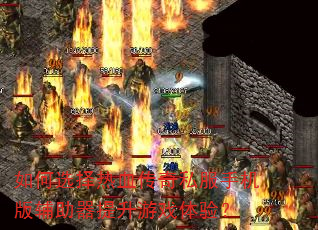 ���ѡ����Ѫ����˽���ֻ��渨����������Ϸ���飿